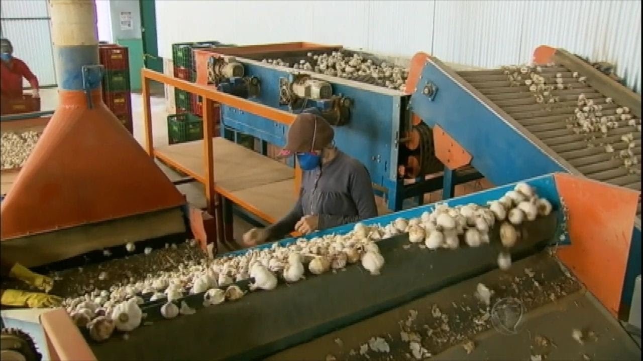 Conheça Cristalina, a cidade de Goiás onde sobram empregos