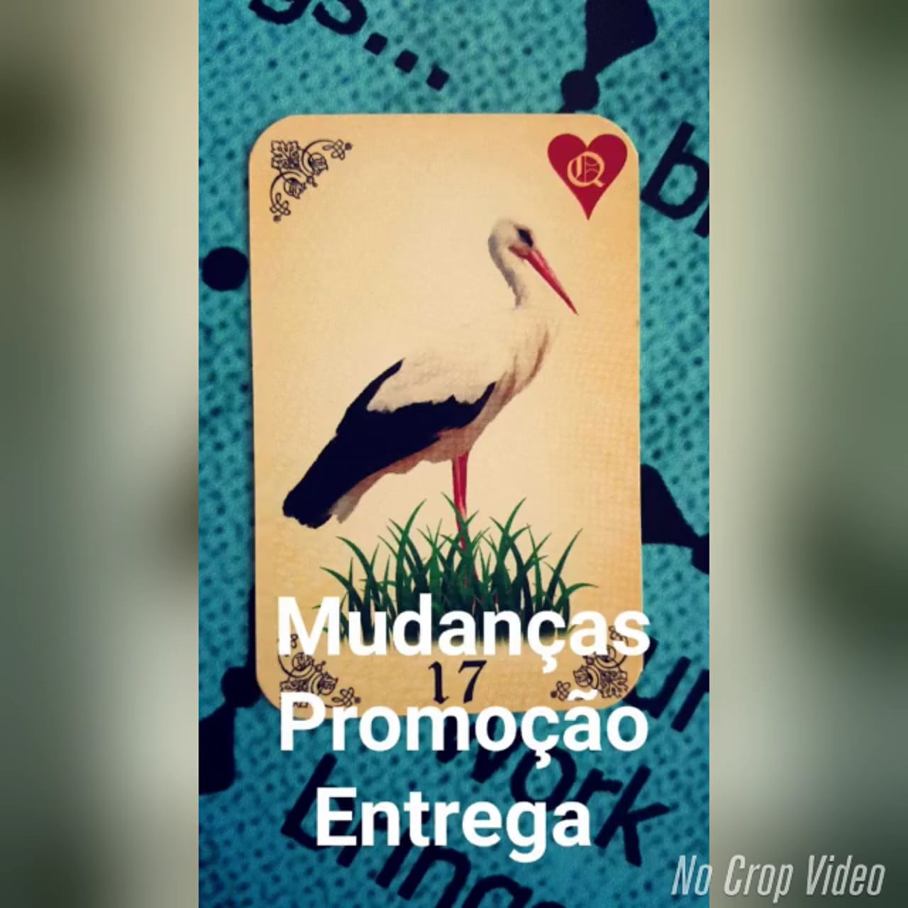 Baralho Lenormand (Baralho Cigano): a Cegonha (Snapchat: ALEXCARLOS60)