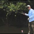 Dicas do Nelson Nakamura - Pesca do Tucunaré