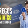 VAGAS DE EMPREGO EM GOIÂNIA - VAGAS NO SINE DE GOIÂNIA - EMPREGOS 2020