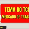 Tema do TCC: Os desafios dos jovens para ingressar no mercado de trabalho