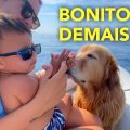 205 | Uma Ilha linda, as Calanques e Marselha - Sailing Around the World