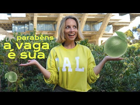 TOP DICAS PARA CONSEGUIR TRABALHO REMOTO ( EP1)