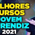 😍(INCRÍVEIS) MELHORES CURSOS PARA JOVEM APRENDIZ! Seu curriculo 100% profissional!