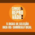 DICA DE SELEÇÃO: COMO FAZER UM CURRÍCULO, O QUE COLOCAR E O QUE NÃO COLOCAR NO CURRÍCULO.