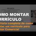 Como montar um currículo para Diretor Comercial