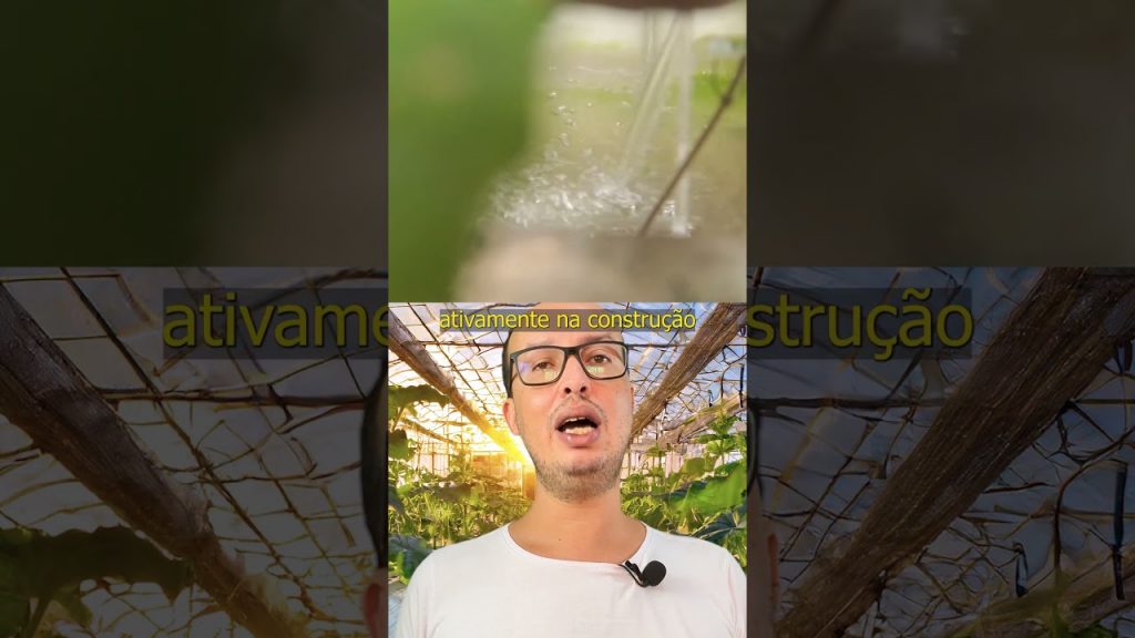 Sistemas Aquapônicos: Aprendizado Ativo e Engajamento Estudantil #aquaponia #agricultura #agro